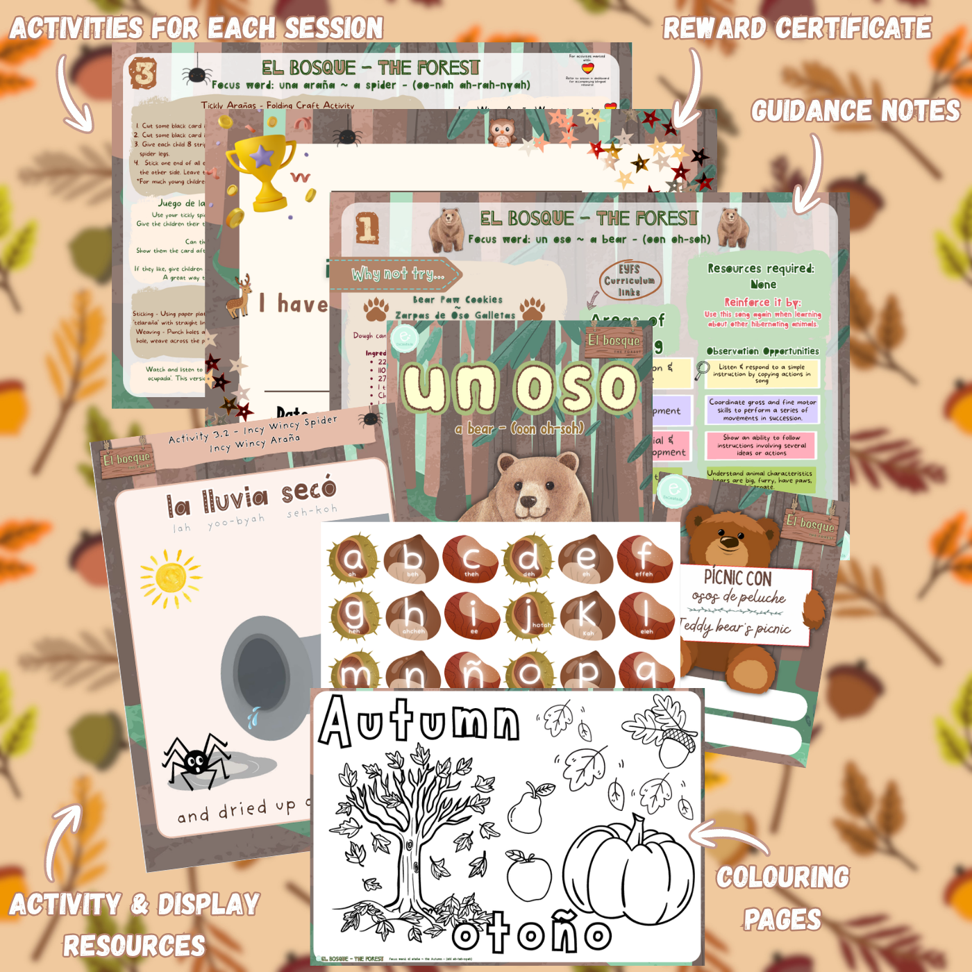 El bosque (The Forest) Activities & Resources - Image 2