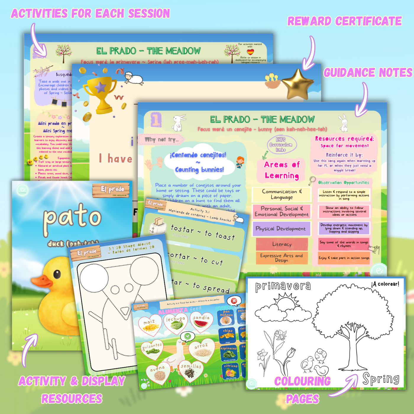 El prado (The Meadow) Activities & Resources - Image 2